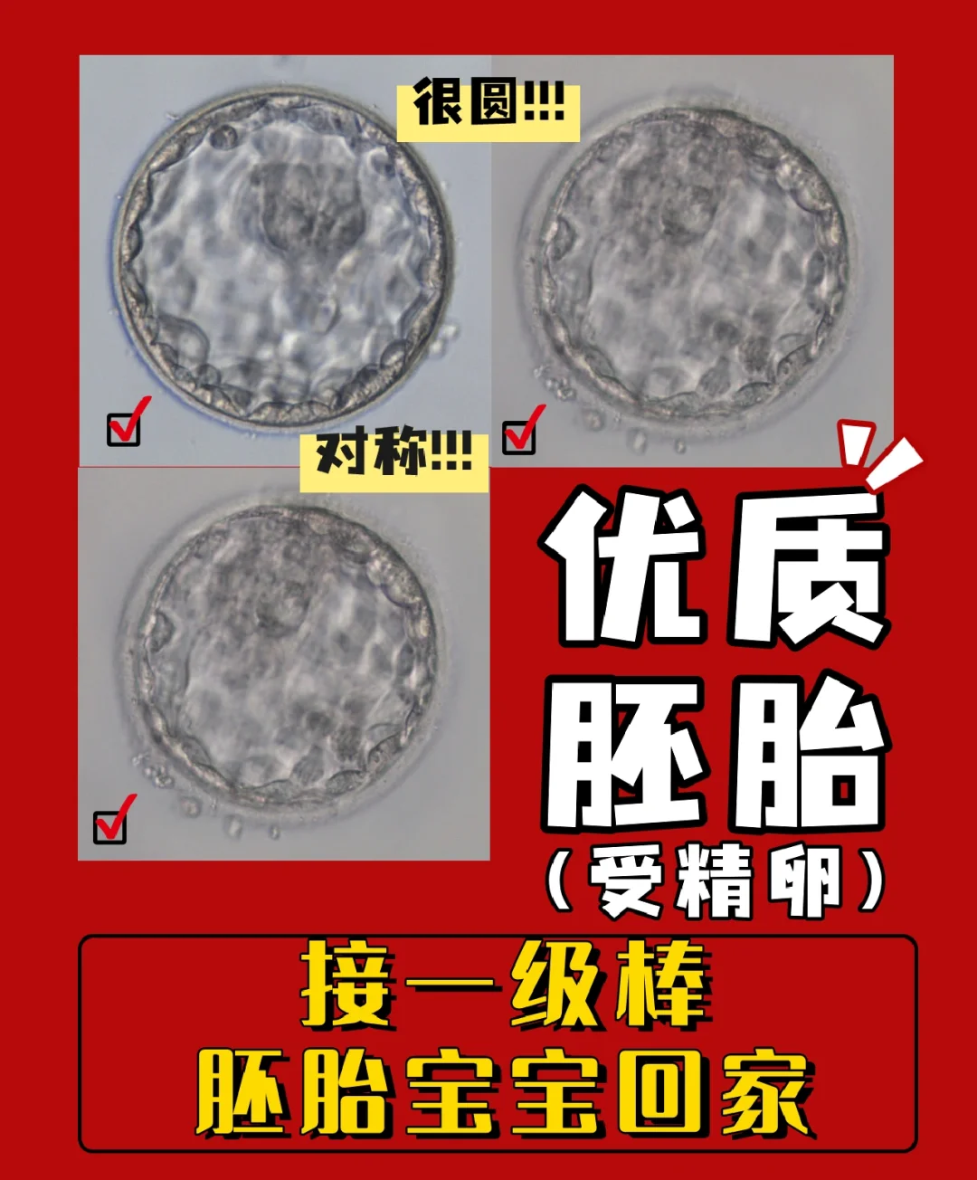 接好孕|一级棒的胚胎长这样！,代孕成功率较高的医院
