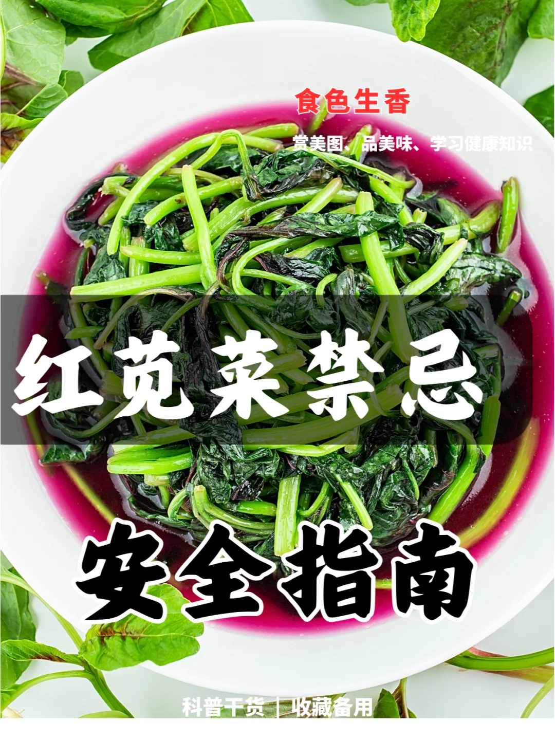 安全饮食，健康生活，了解吃红苋菜的讲究。,代孕中心哪家专业